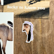 Load image into Gallery viewer, Pony Butts Sticker
