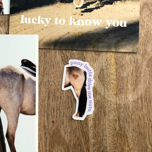 Pony Butts Sticker